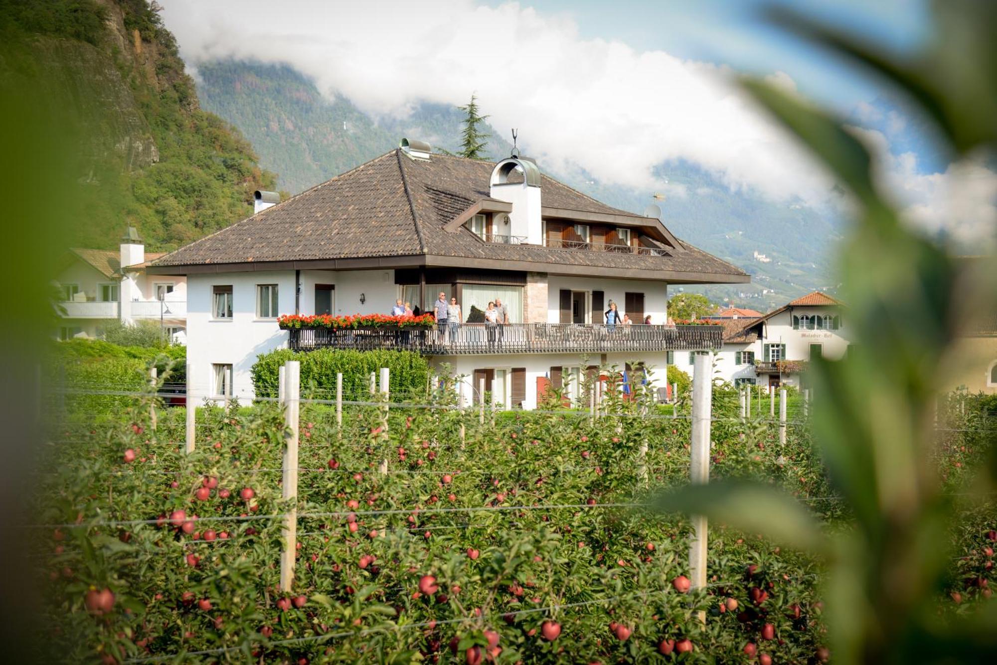 Couette-café Pension Rebgut Lana